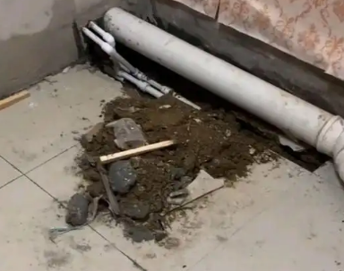 禹王台卫生间漏水检测哪家好