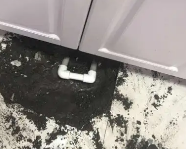 禹王台查漏水哪家好